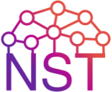 nstdata.ru